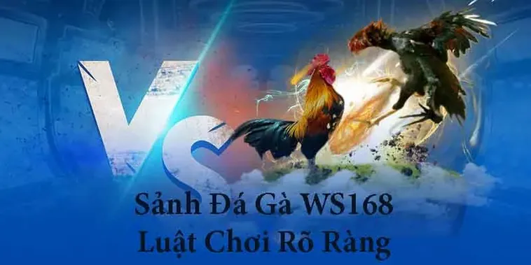 Cách Chơi Đá Gà WS168 Tại Win55 Bùng Nổ Lợi Nhuận Với Đẳng Cấp Thắng Lớn 2 Cách Chơi Đá Gà WS168 Tại Win55 Bùng Nổ Lợi Nhuận Với Đẳng Cấp Thắng Lớn